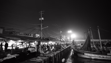 “Trump kündigt Zölle an: Märkte bereiten sich auf Turbulenzen vor”