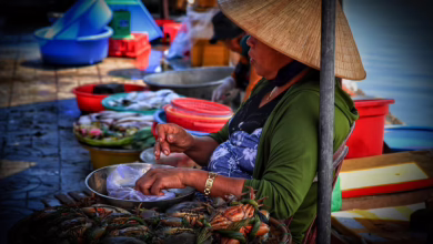 "BitFuFu: Lokaler Anbieter profitiert von Krypto-Boom und wächst rasant"