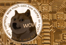 Dogecoin erreicht neue Höchststände: 35% Anstieg sorgt für Aufbruchstimmung
