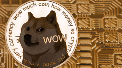Dogecoin erreicht neue Höchststände: 35% Anstieg sorgt für Aufbruchstimmung