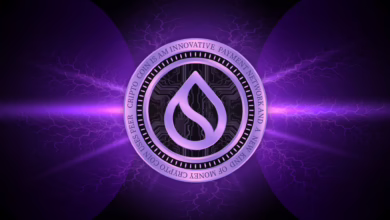 Sui und sBTC: Ein neuer Akteur im Bitcoin-DeFi-Sektor steht bereit