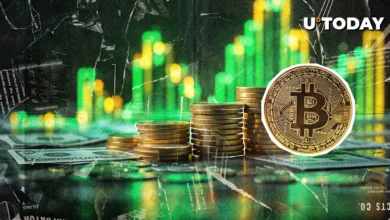 Bitcoin auf Rekordkurs: Experten prognostizieren neuen Höchststand