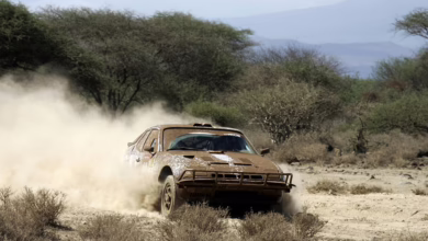 Bitcoin auf dem Weg zur 95.000 USD-Marke: Eine neue Rallye in Sicht?