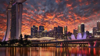XRP auf dem Vormarsch: Singapurer entdecken alternative Krypto-Anlagen