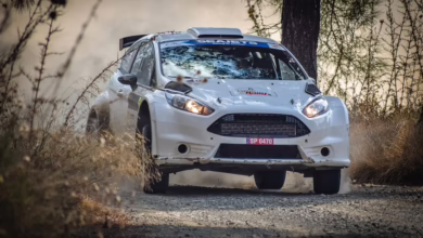 IOTA zeigt bullische Rallye: Bleibt der Aufwärtstrend stabil?