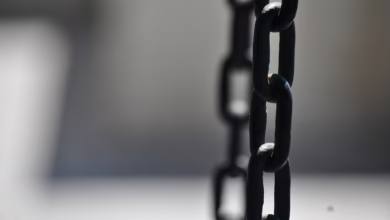 Pi Network: Kursanstieg und wichtige Neuigkeiten beim Consensus-Event