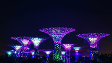 Coinbase Singapore: Einblicke in die Zukunft der Krypto-Branche