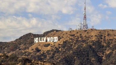 Krypto und Hollywood: Netflix plant dramatische FTX-Verfilmung