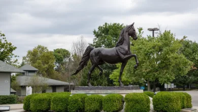 Krypto-Skandal in Kentucky: Wie der Crypto King zum Verbrecher wurde