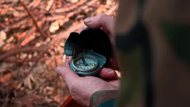 Blockchain-Projekte überleben durch gezielte Öffentlichkeitsarbeit