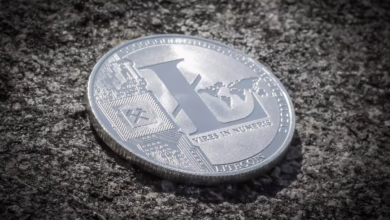 Litecoin im Aufschwung: Kommt der Sprung über die 100-Dollar-Marke?