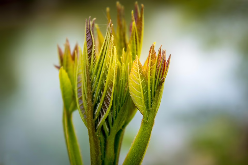 Coinbase: Erster Krypto-Player im S&P 500 und was das für Anleger bedeutet