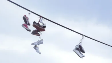 Ethereum auf Höhenflug: Wegbereiter für neue Strategien im Kryptomarkt