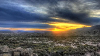 Krypto-Betrug in Texas: Wie ein Paar Millionen ergaunerte