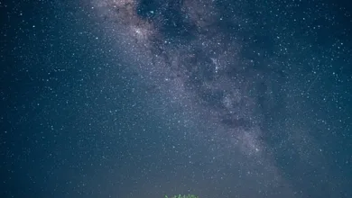Tonkeeper Pro: Jetzt auch für iPhone verfügbar für professionelle Krypto-Nutzer