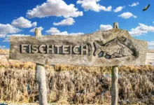 Staking im Krypto: Chance oder Risiko für Anfänger in der Region?