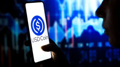 Krypto-Revolution: Circle-Börsengang zieht Investoren wie BlackRock an