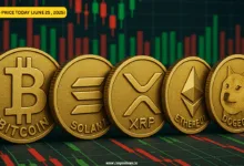 Kryptomarkt stabilisiert sich: Bitcoin dominiert trotz Preisdips
