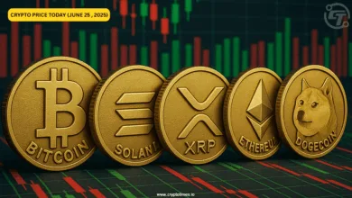 Kryptomarkt stabilisiert sich: Bitcoin dominiert trotz Preisdips
