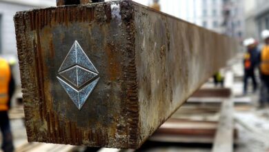 Wintermute : Code warnt vor Ethereum-Wallet-Drohungen und schützt Nutzer