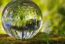 Risiken und Chancen: Krypto-Treasury-Firmen im Fokus der Diskussion
