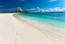 Zrce Beach verwandelt sich in Krypto-Hotspot: Crypto Conference 2025