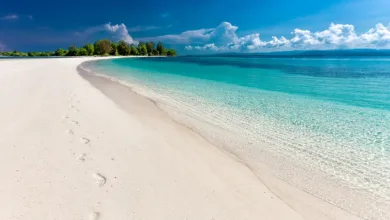 Zrce Beach verwandelt sich in Krypto-Hotspot: Crypto Conference 2025