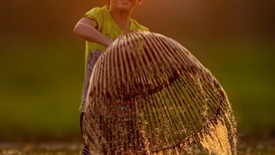 Vietnam legalisiert Krypto-Assets: Ein Meilenstein für digitale Innovation