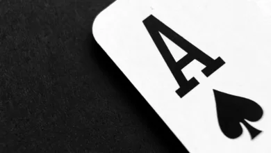 Crypto Casinos 2025: Die besten Anbieter im Überblick