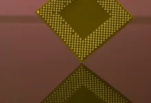 Cardano integriert XRP: Ein Schritt in Richtung DeFi-Zusammenarbeit