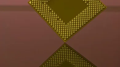 Cardano integriert XRP: Ein Schritt in Richtung DeFi-Zusammenarbeit