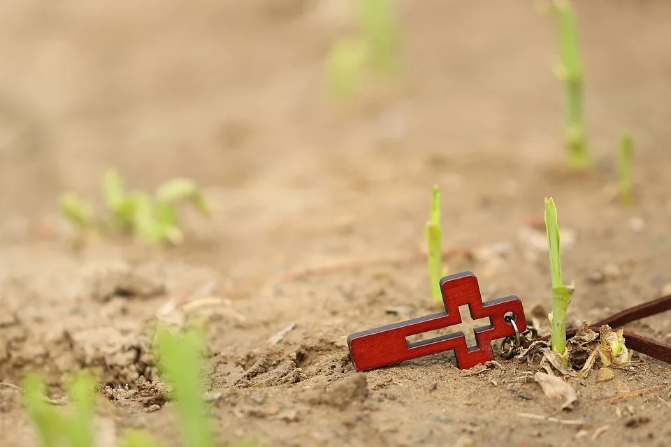 Sinkender Ethereum-Vorrat erreicht Rekordhöhe: Vertrauen in Krypto wächst