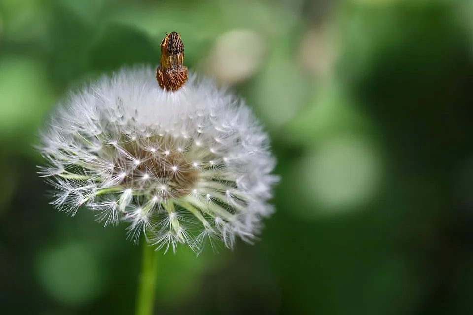 $1 Milliarde für Krypto: SPAC-Deal von Tether-Gründer im Fokus