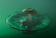 Ripple bringt sichere Handelsplattform für Banken ins DeFi-Zeitalter