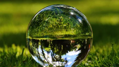 Klarheit für Krypto: SEC-Vorsitzender fordert neue Regelungen