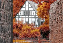 IMX-Token im Sinkflug: Ursachen und Ausblick auf die nächste Woche