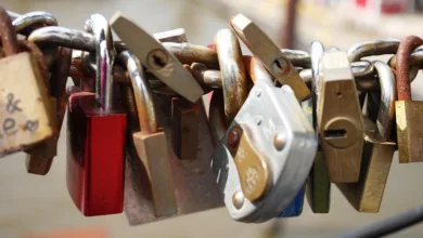 Sichere Gewinne ohne Risiko: BTC Miner revolutioniert Cloud Mining