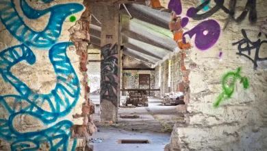 Ethereum vor Durchbruch: Analyst erwartet massive Kursgewinne