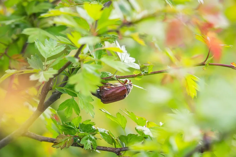 Shiba Inu: Kann sich der Kurs in der kritischen Phase stabilisieren?