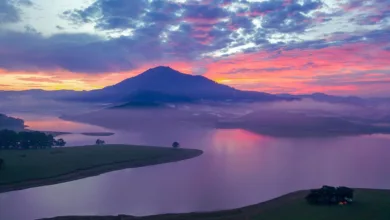 Vietnam führt neues Gesetz für digitale Technologien ein
