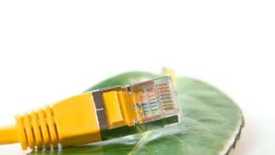 Kursprognosen für Pi Network und das aufstrebende Block3 im Fokus