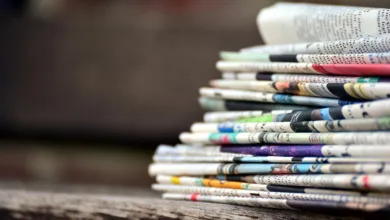 Bitcoin-Dominanz steigt weiter – Altcoins unter Druck