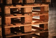 Kryptowährung: Anstieg der Investitionen auf 709 Millionen Euro in dieser Woche
