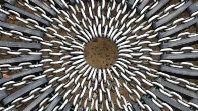 Krypto-IPO: Circle Internet Group sammelt über 1,1 Milliarden Dollar