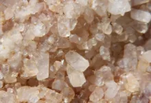 ZA Miner startet neue Belohnungen für müheloses Krypto-Einkommen