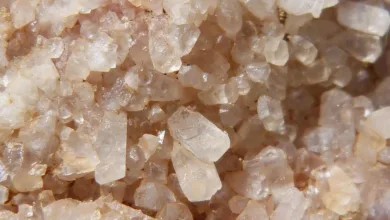 ZA Miner startet neue Belohnungen für müheloses Krypto-Einkommen
