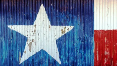 Texas wird Pionier: Erster Bundesstaat mit staatlicher Bitcoin-Reserve