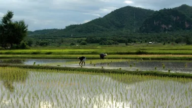Thailand führt fünfjährige Steuerbefreiung für Krypto-Investoren ein