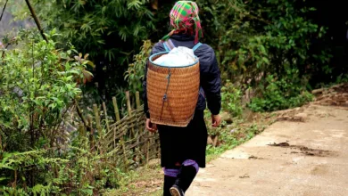 Vietnam verabschiedet Gesetz für klare Regeln im Kryptomarkt 2026