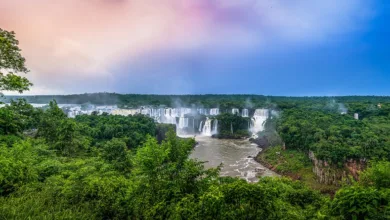 Brasilien führt pauschale Steuer auf Kryptowährungsgewinne ein